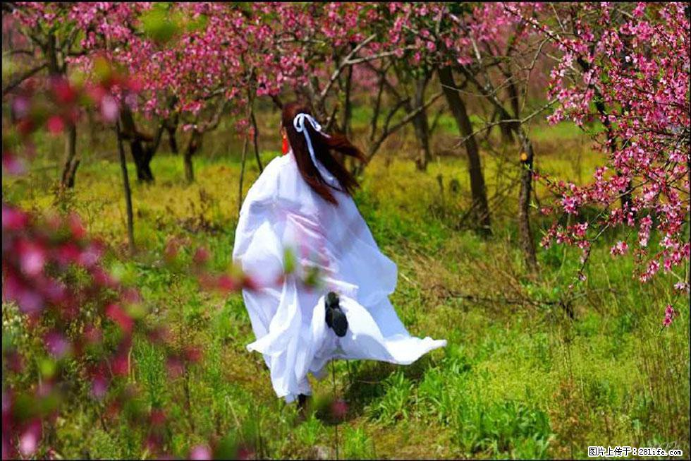 【春天,广西桂林灌阳县向您发出邀请!】官庄村有个醉美的桃花园 - 游山玩水 - 湘潭生活社区 - 湘潭28生活网 xiangtan.28life.com