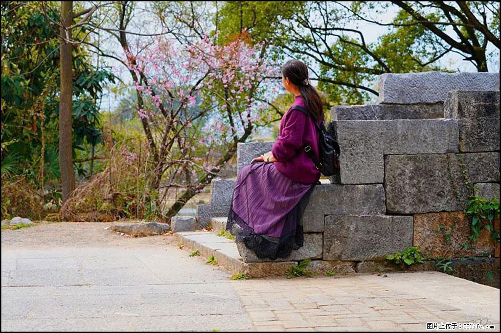 【春天,广西桂林灌阳县向您发出邀请!】江口老街又逢春 - 游山玩水 - 湘潭生活社区 - 湘潭28生活网 xiangtan.28life.com