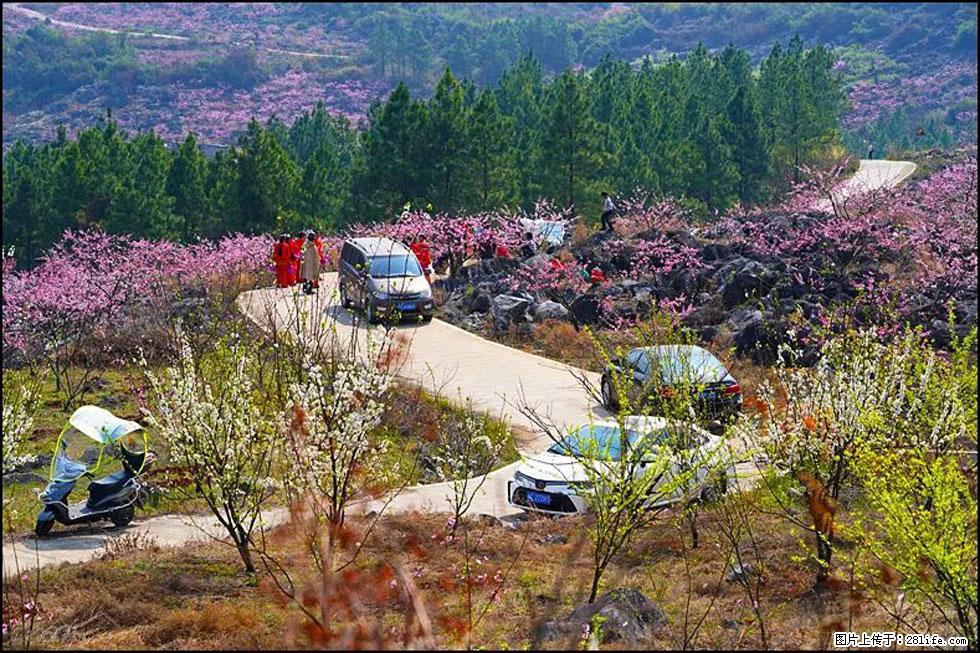 【春天，广西桂林灌阳县向您发出邀请！】望月岭上桃花开 - 游山玩水 - 湘潭生活社区 - 湘潭28生活网 xiangtan.28life.com