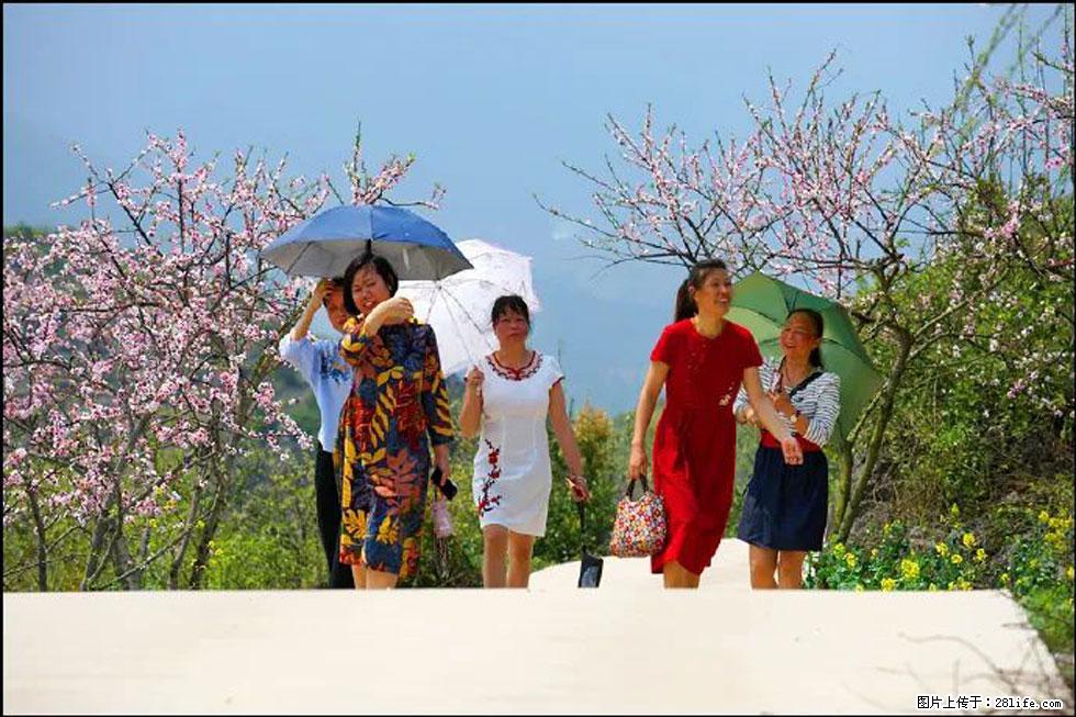 【春天，广西桂林灌阳县向您发出邀请！】望月岭上桃花开 - 游山玩水 - 湘潭生活社区 - 湘潭28生活网 xiangtan.28life.com
