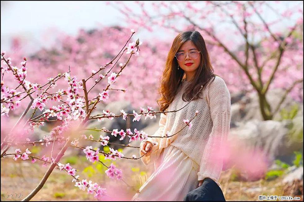 【春天，广西桂林灌阳县向您发出邀请！】望月岭上桃花开 - 游山玩水 - 湘潭生活社区 - 湘潭28生活网 xiangtan.28life.com