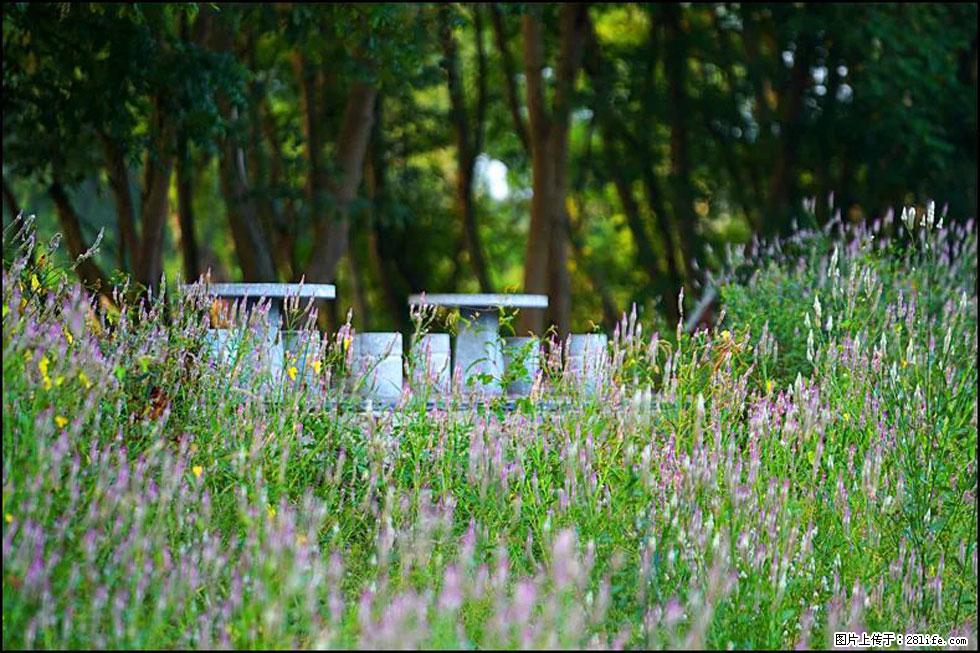 【春天,广西桂林灌阳县向您发出邀请!】熊家寨湿地公园 - 游山玩水 - 湘潭生活社区 - 湘潭28生活网 xiangtan.28life.com