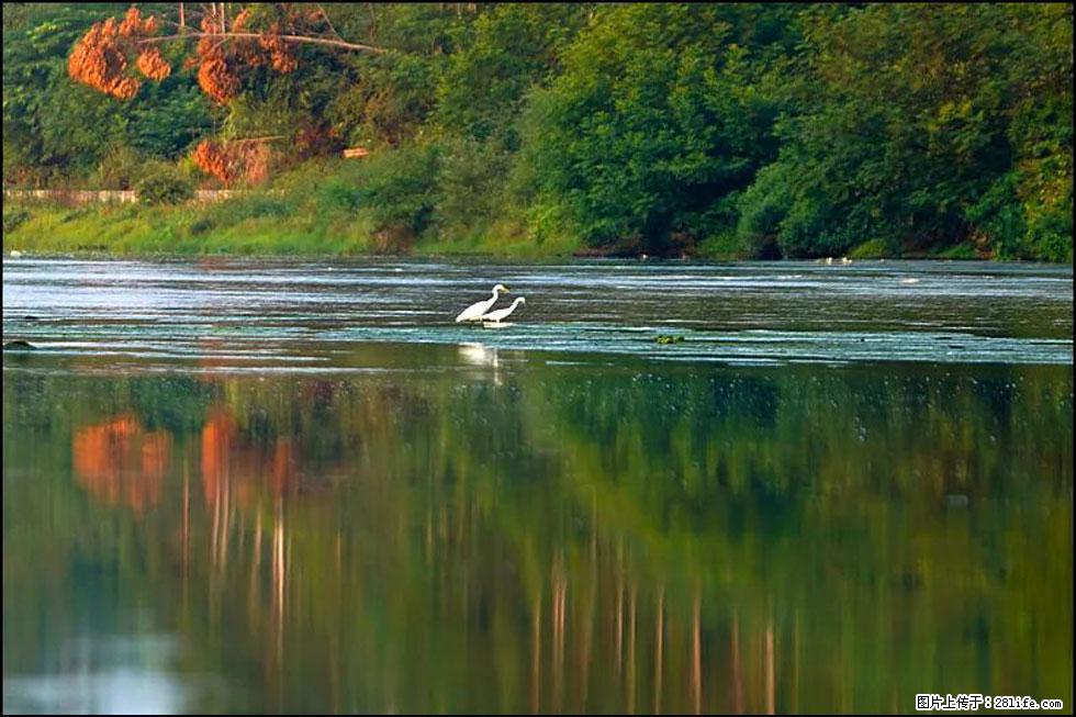 【春天,广西桂林灌阳县向您发出邀请!】熊家寨湿地公园 - 游山玩水 - 湘潭生活社区 - 湘潭28生活网 xiangtan.28life.com