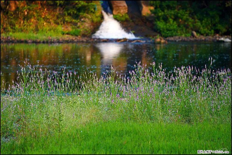 【春天,广西桂林灌阳县向您发出邀请!】熊家寨湿地公园 - 游山玩水 - 湘潭生活社区 - 湘潭28生活网 xiangtan.28life.com