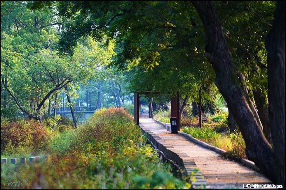 【春天,广西桂林灌阳县向您发出邀请!】熊家寨湿地公园 - 游山玩水 - 湘潭生活社区 - 湘潭28生活网 xiangtan.28life.com