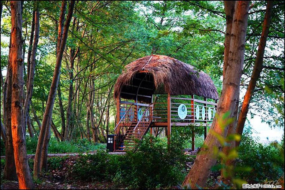 【春天,广西桂林灌阳县向您发出邀请!】熊家寨湿地公园 - 游山玩水 - 湘潭生活社区 - 湘潭28生活网 xiangtan.28life.com