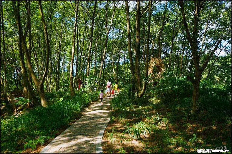 【春天,广西桂林灌阳县向您发出邀请!】熊家寨湿地公园 - 游山玩水 - 湘潭生活社区 - 湘潭28生活网 xiangtan.28life.com