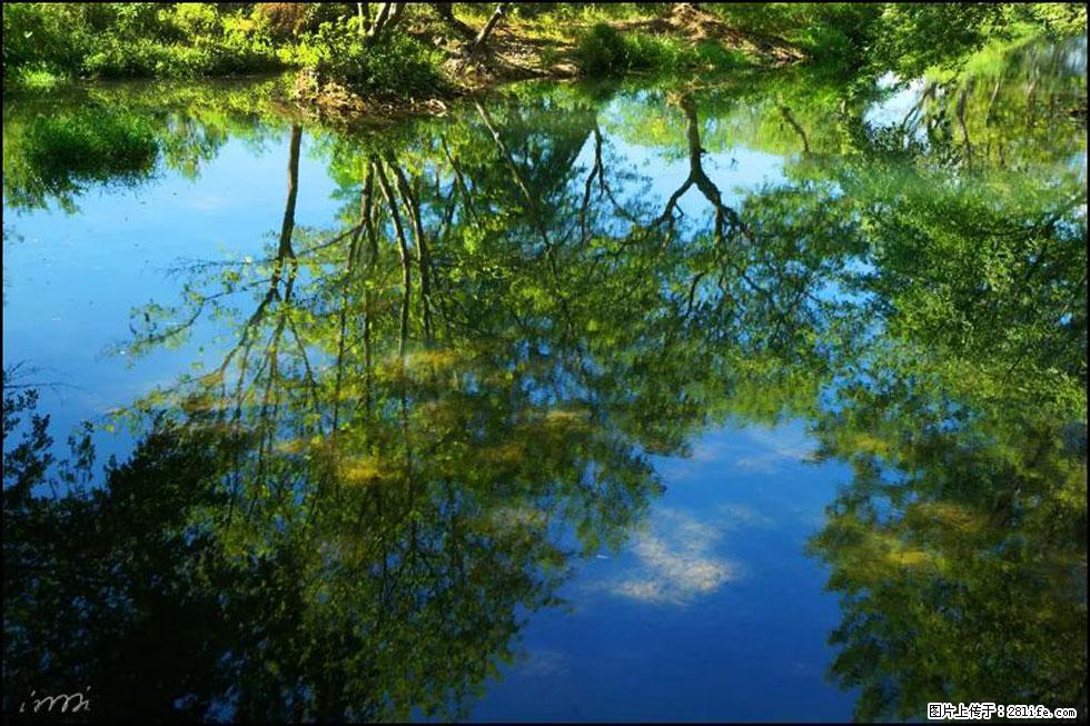 【春天,广西桂林灌阳县向您发出邀请!】熊家寨湿地公园 - 游山玩水 - 湘潭生活社区 - 湘潭28生活网 xiangtan.28life.com