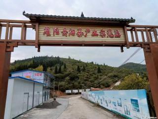 【灌阳县油茶产业示范区】一个有着充实的精神生活的人，对待身外之物自会有一种淡泊的态度 - 湘潭28生活网 xiangtan.28life.com