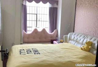 市政府 金侨中央广场 精装大两房 温馨舒适 可拎包入住！！ - 湘潭28生活网 xiangtan.28life.com