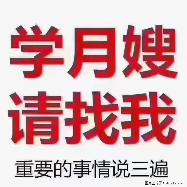 【招聘】月嫂,上海徐汇区 - 职场交流 - 湘潭生活社区 - 湘潭28生活网 xiangtan.28life.com