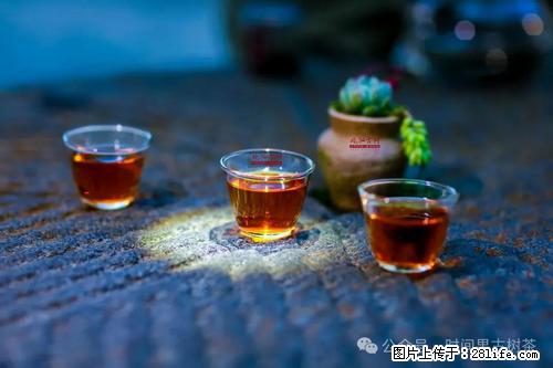 时间果百年古树2025年春红茶 - 购物交流 - 湘潭生活社区 - 湘潭28生活网 xiangtan.28life.com