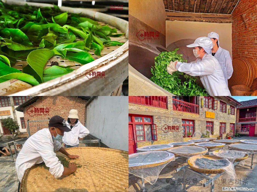 时间果百年古树龙珠普洱生茶 - 购物交流 - 湘潭生活社区 - 湘潭28生活网 xiangtan.28life.com