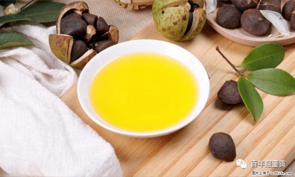 揭秘茶油的5大核心营养成分!被称为人体健康的“守护盾”! - 湘潭生活资讯 - 湘潭28生活网 xiangtan.28life.com