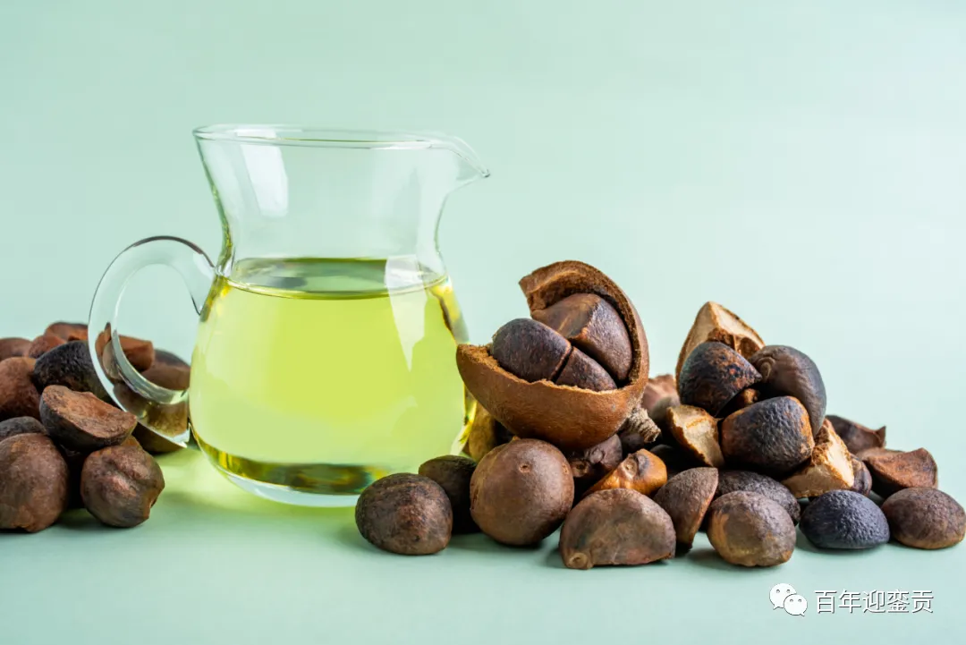 世界没有真相,只有认知,最好的食用油是中国的山茶油! - 湘潭生活资讯 - 湘潭28生活网 xiangtan.28life.com