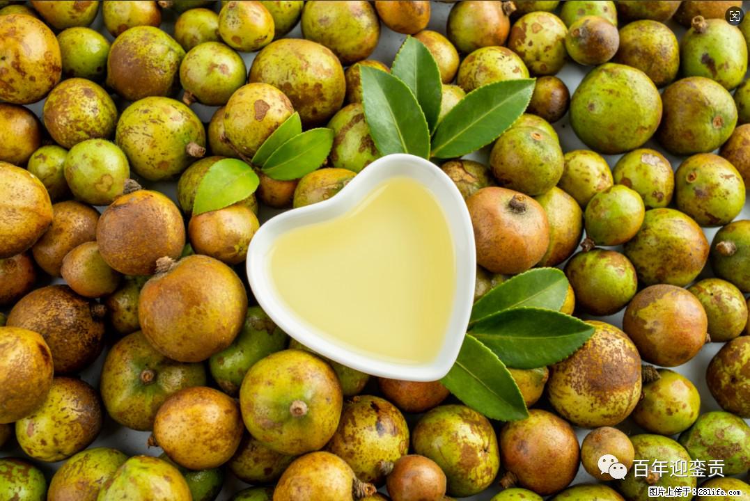 世界没有真相,只有认知,最好的食用油是中国的山茶油! - 湘潭生活资讯 - 湘潭28生活网 xiangtan.28life.com