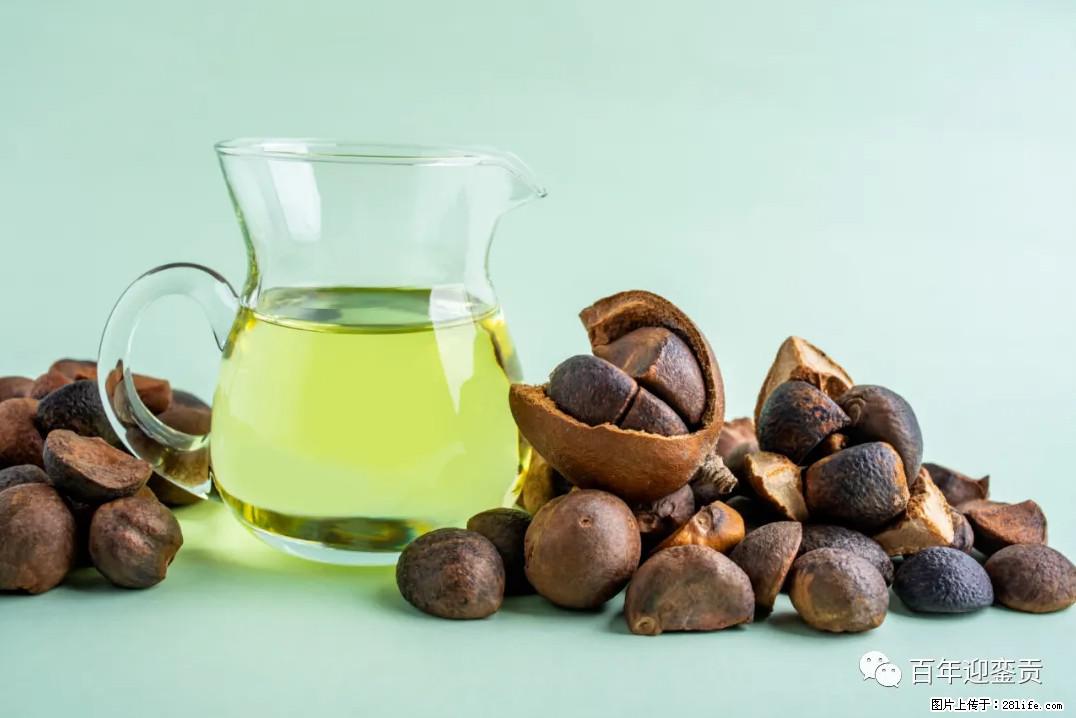世界没有真相，只有认知，最好的食用油是中国的山茶油！ - 湘潭生活资讯 - 湘潭28生活网 xiangtan.28life.com