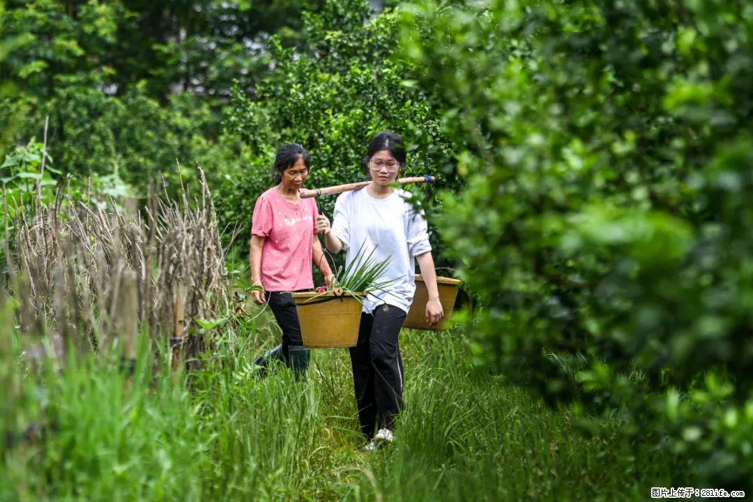 全网追的“扁担女孩”,找了一份暑假工,时薪12元 - 湘潭生活资讯 - 湘潭28生活网 xiangtan.28life.com