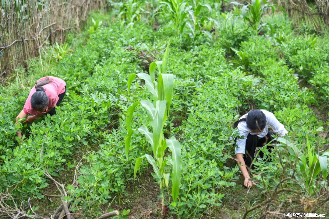 全网追的“扁担女孩”,找了一份暑假工,时薪12元 - 湘潭生活资讯 - 湘潭28生活网 xiangtan.28life.com