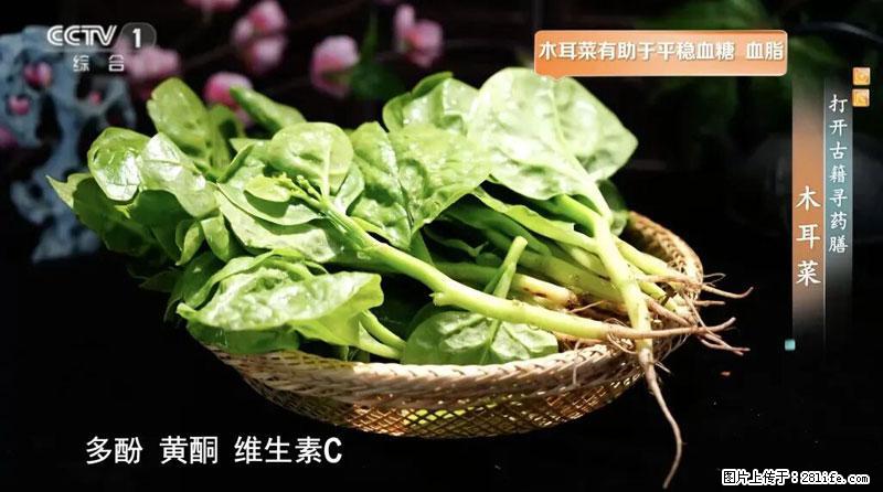 比牛奶补钙还厉害！凉血解毒、稳血糖...这菜冬天必吃，很多人却当草 - 湘潭生活资讯 - 湘潭28生活网 xiangtan.28life.com