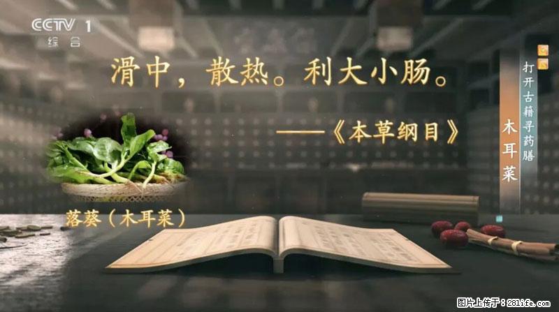 比牛奶补钙还厉害！凉血解毒、稳血糖...这菜冬天必吃，很多人却当草 - 湘潭生活资讯 - 湘潭28生活网 xiangtan.28life.com