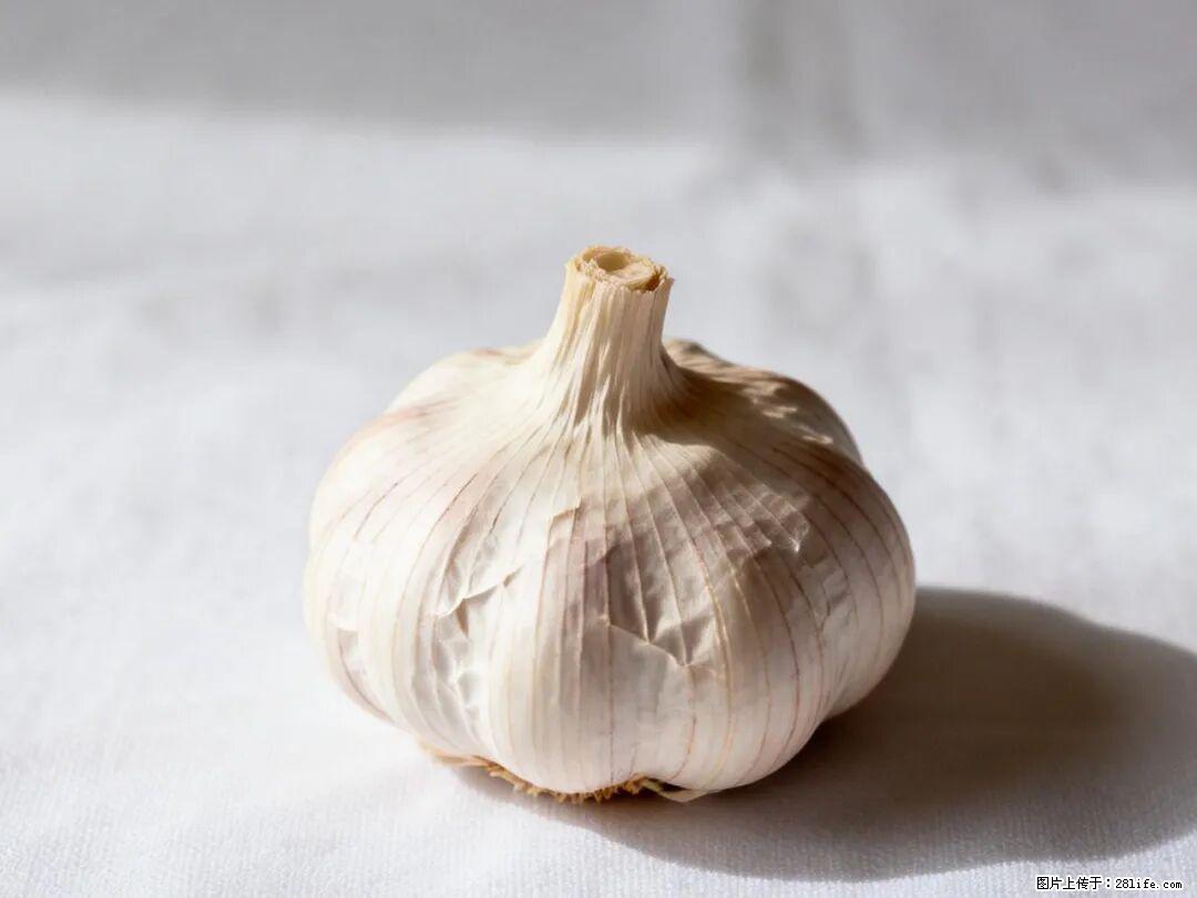 关于大蒜，除了“天然抗生素”，这4个谣言更该警惕! - 湘潭生活资讯 - 湘潭28生活网 xiangtan.28life.com
