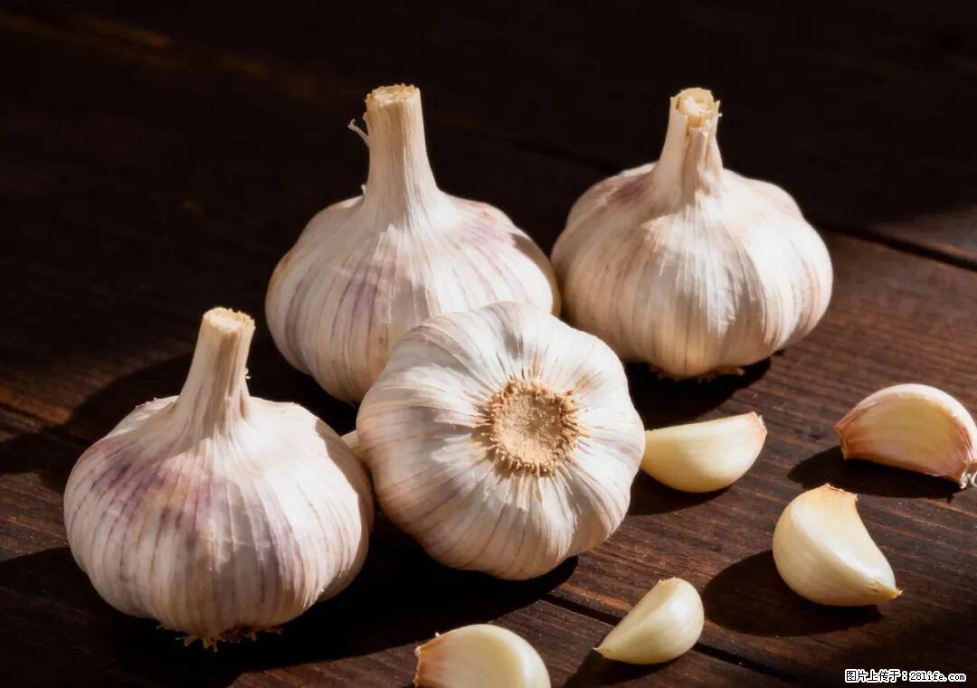 关于大蒜，除了“天然抗生素”，这4个谣言更该警惕! - 湘潭生活资讯 - 湘潭28生活网 xiangtan.28life.com