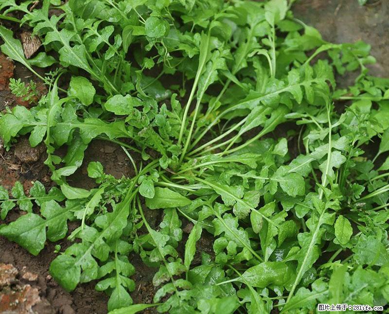 这些蔬菜是“天然钙片”，这6种被医生重点推荐 - 湘潭生活资讯 - 湘潭28生活网 xiangtan.28life.com