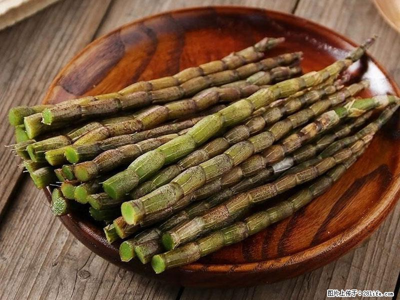 铁皮石斛的作用与功能主治 - 湘潭生活资讯 - 湘潭28生活网 xiangtan.28life.com